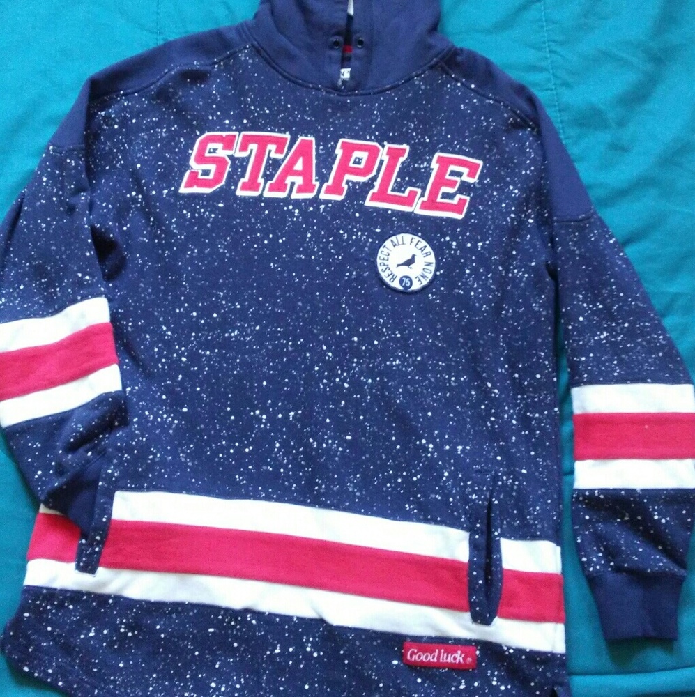 Staple World Renown Pigeon Brand Mens Blue Hooded
